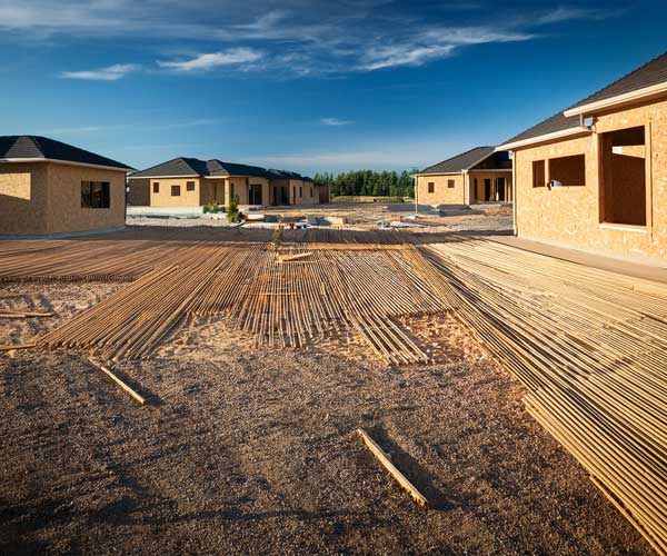 Living Building Art History